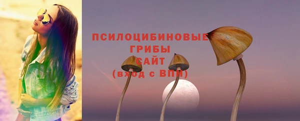 герыч Гусь-Хрустальный